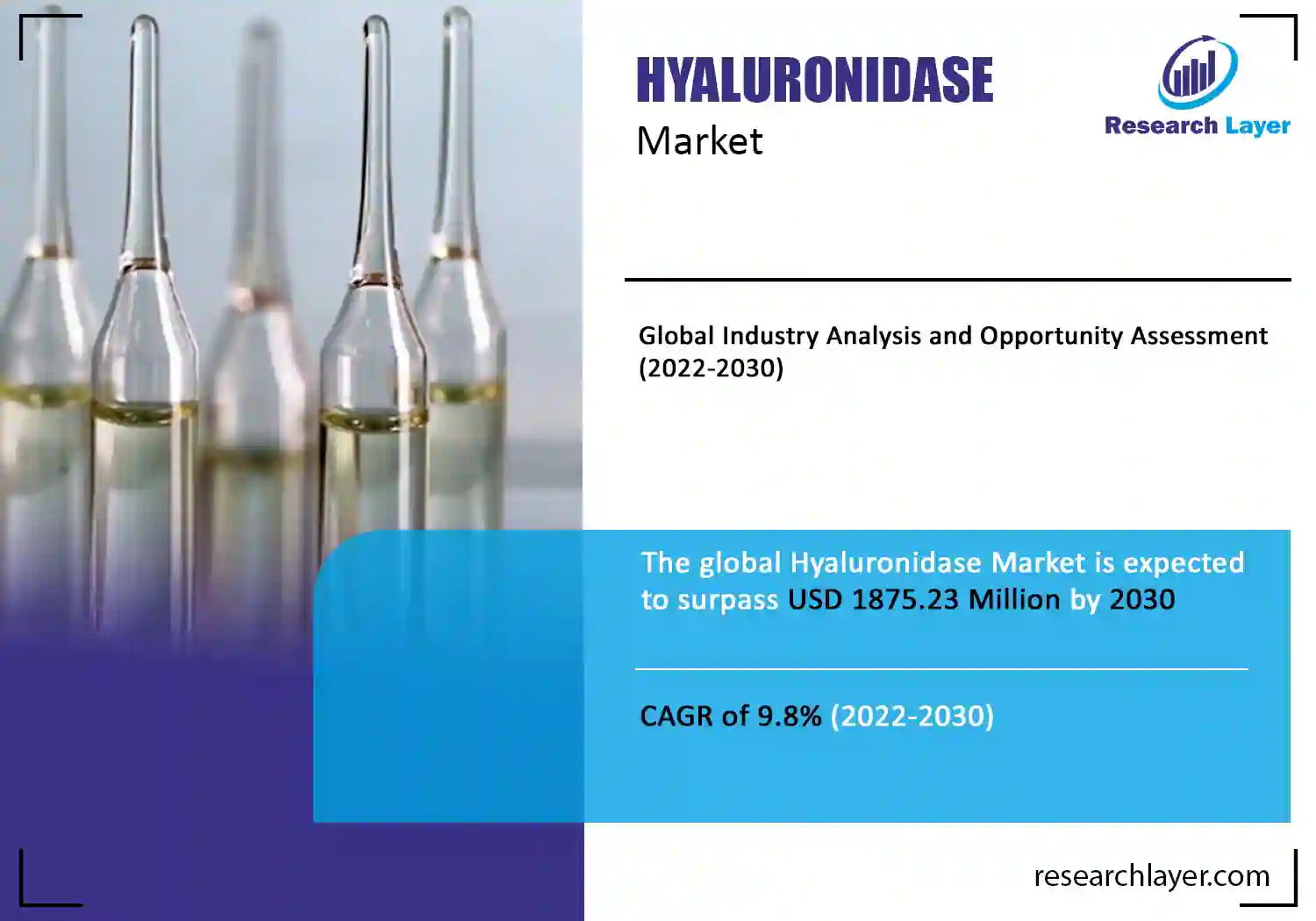 Hyaluronidase Market
